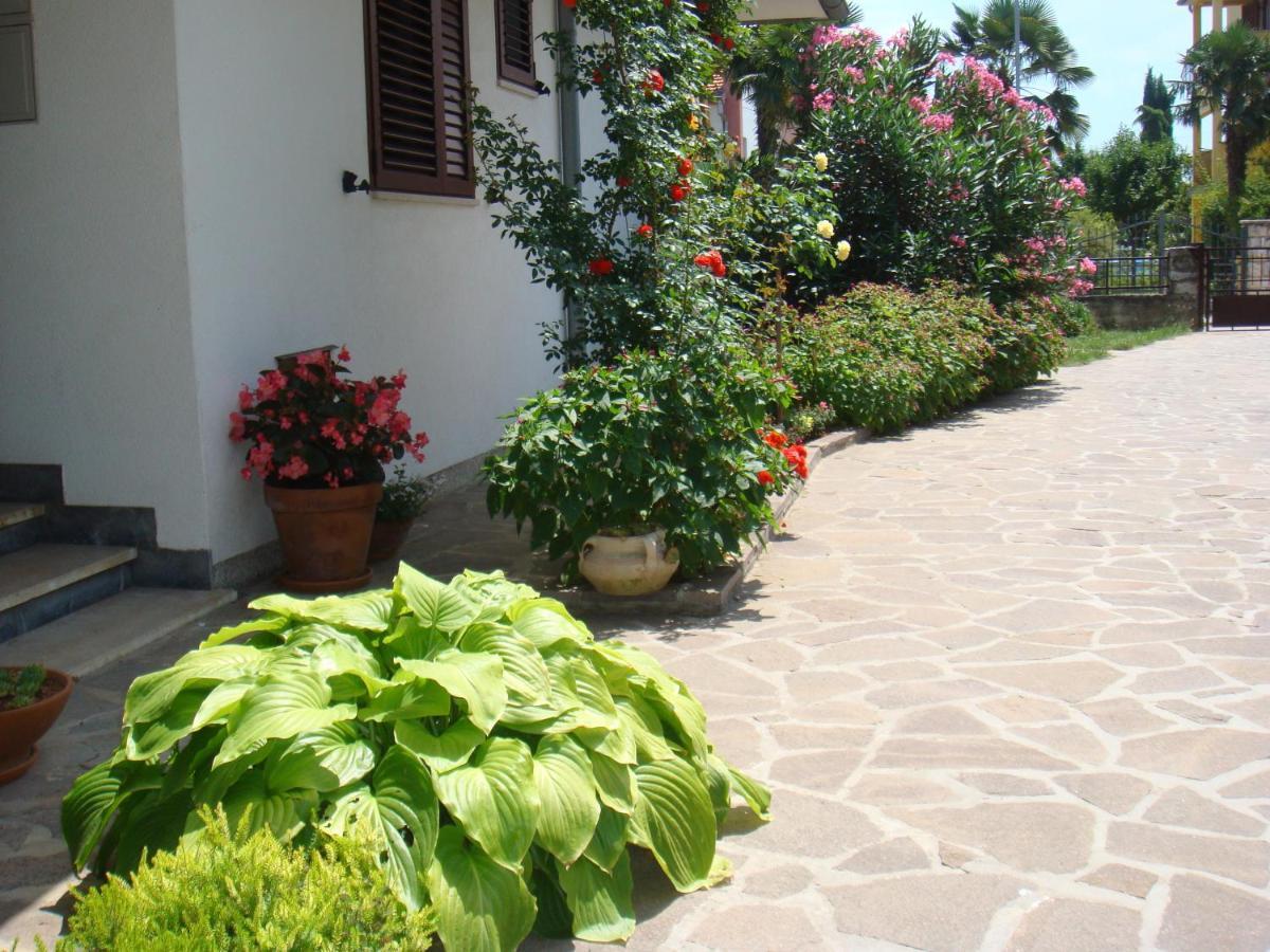 Apartments Medusa Rovinj Exterior photo